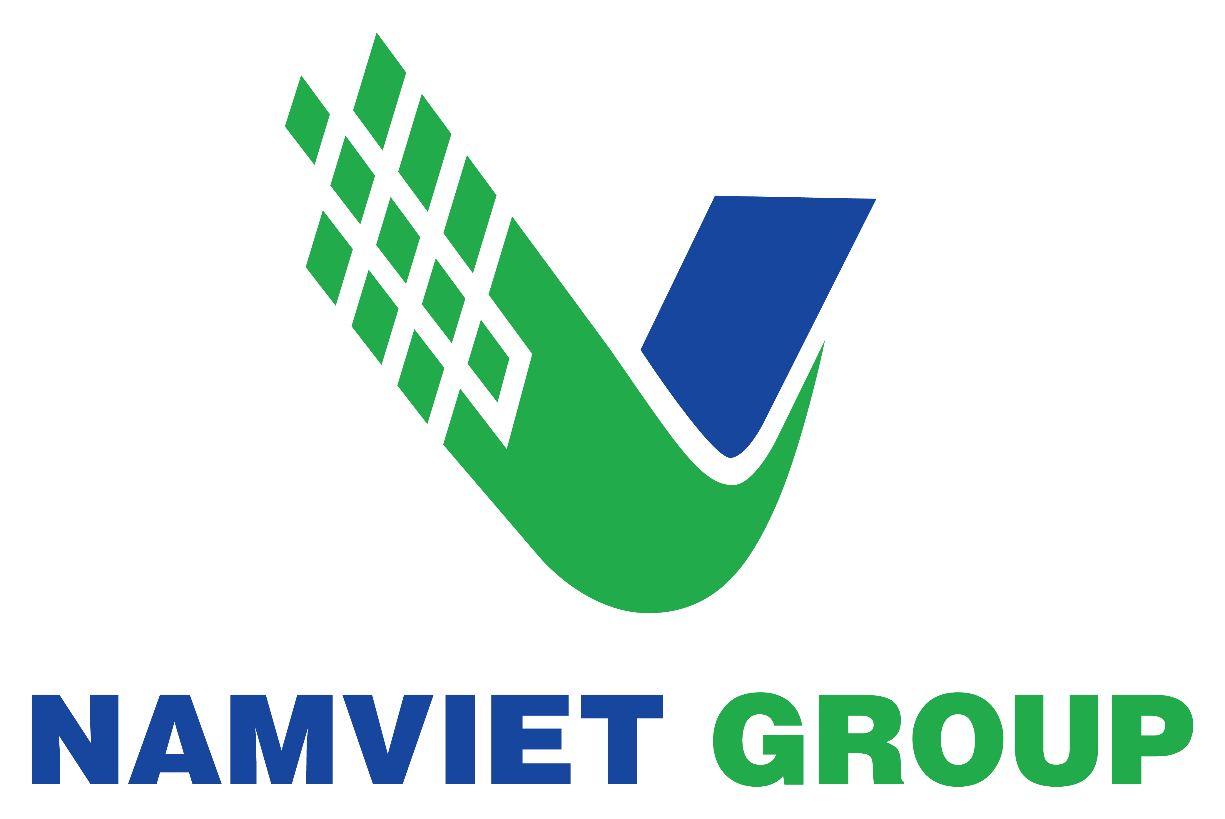 Nam Việt Group